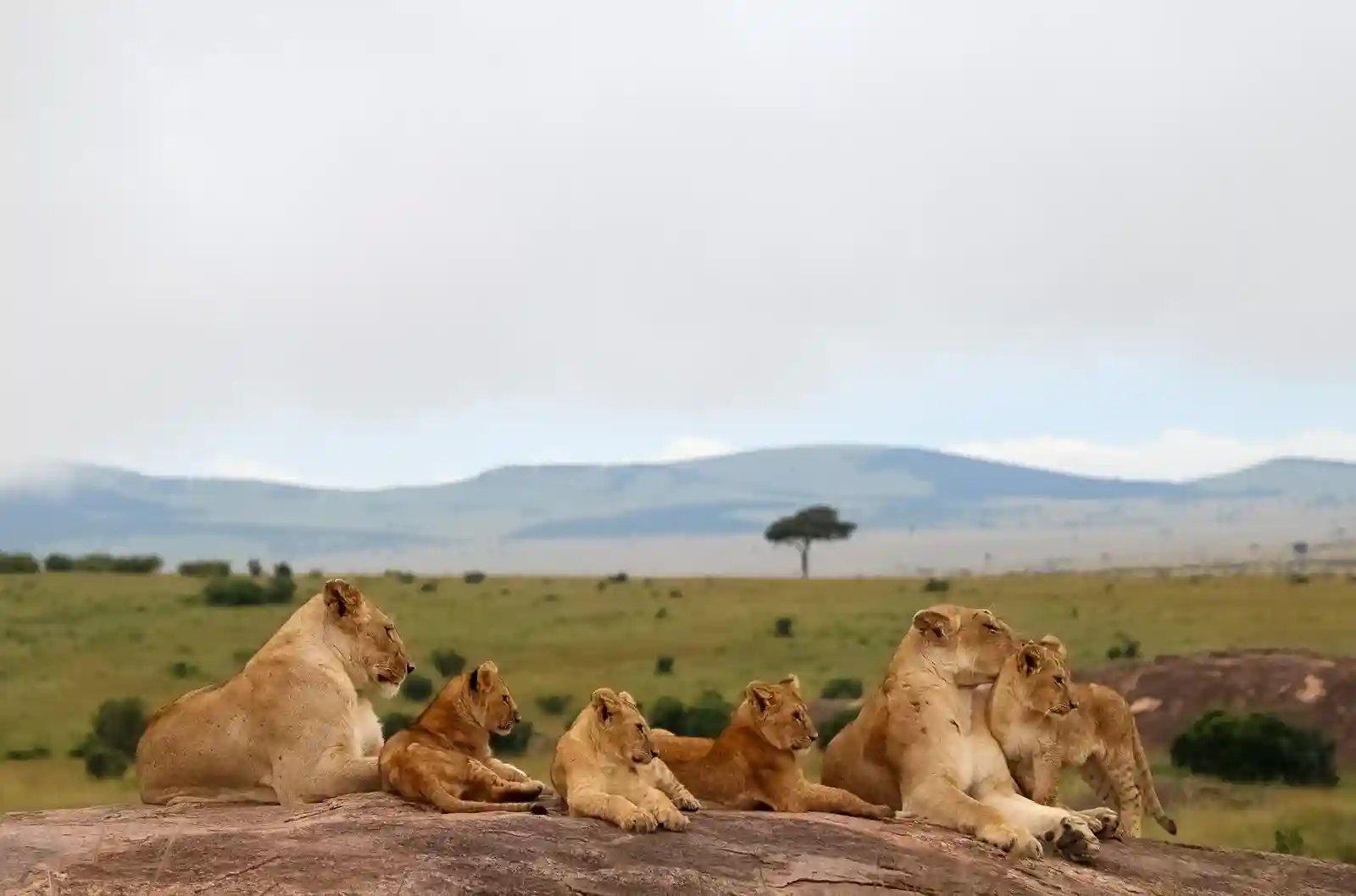 Adventure tourism at Jebel Jais mountains in Ras Al Khaimah featuring hiking and the world’s longest zipline