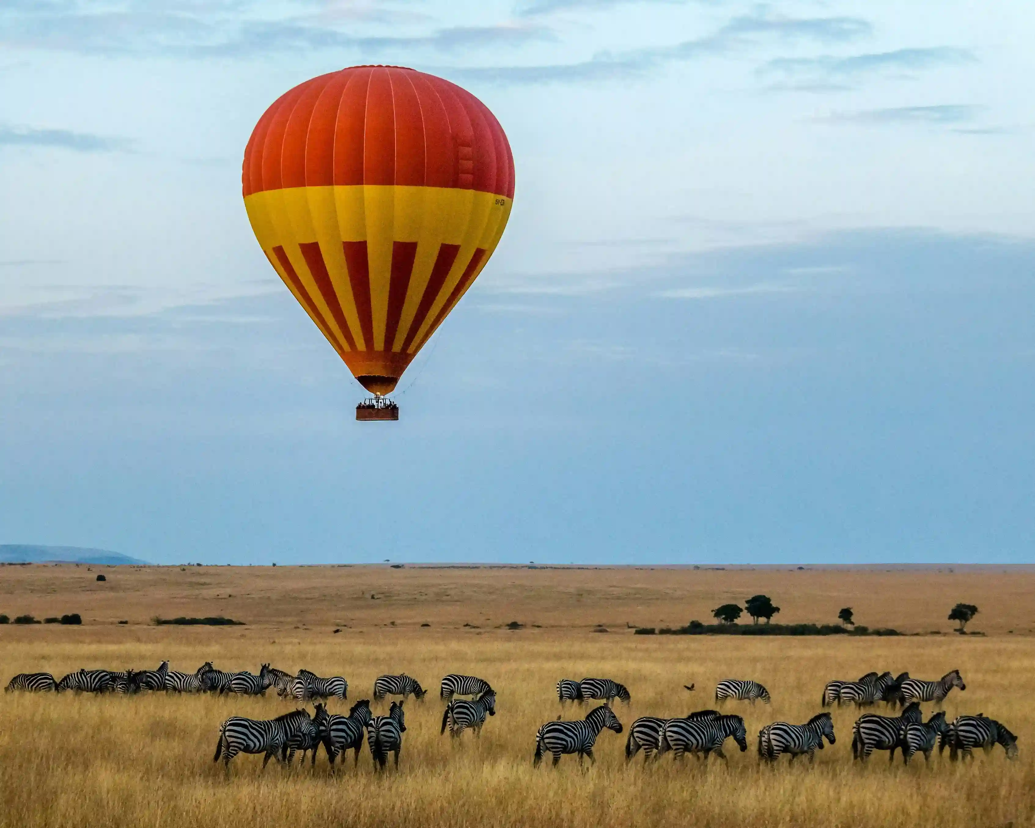 Hot air balloon flying over Maasai Mara at sunrise with wildlife below