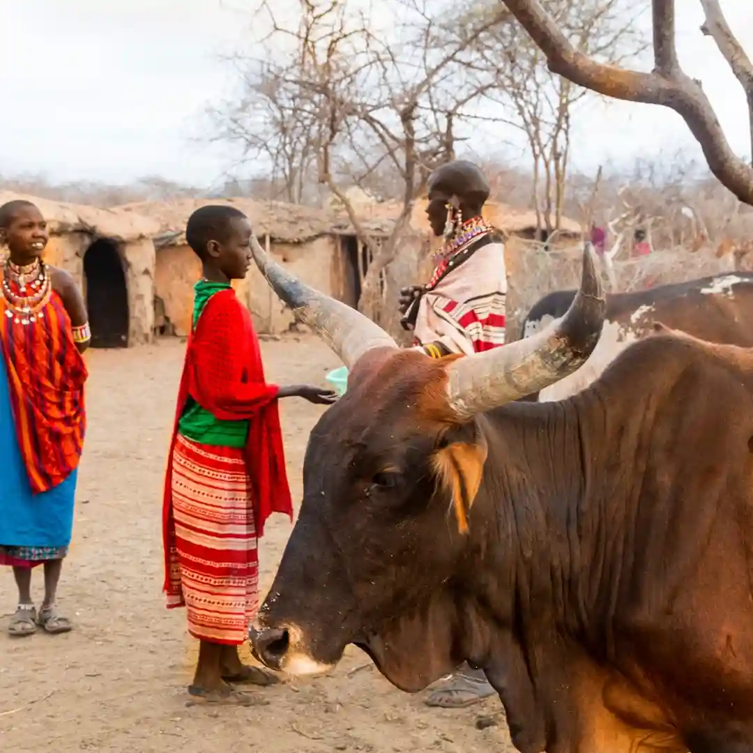 Maasai Village