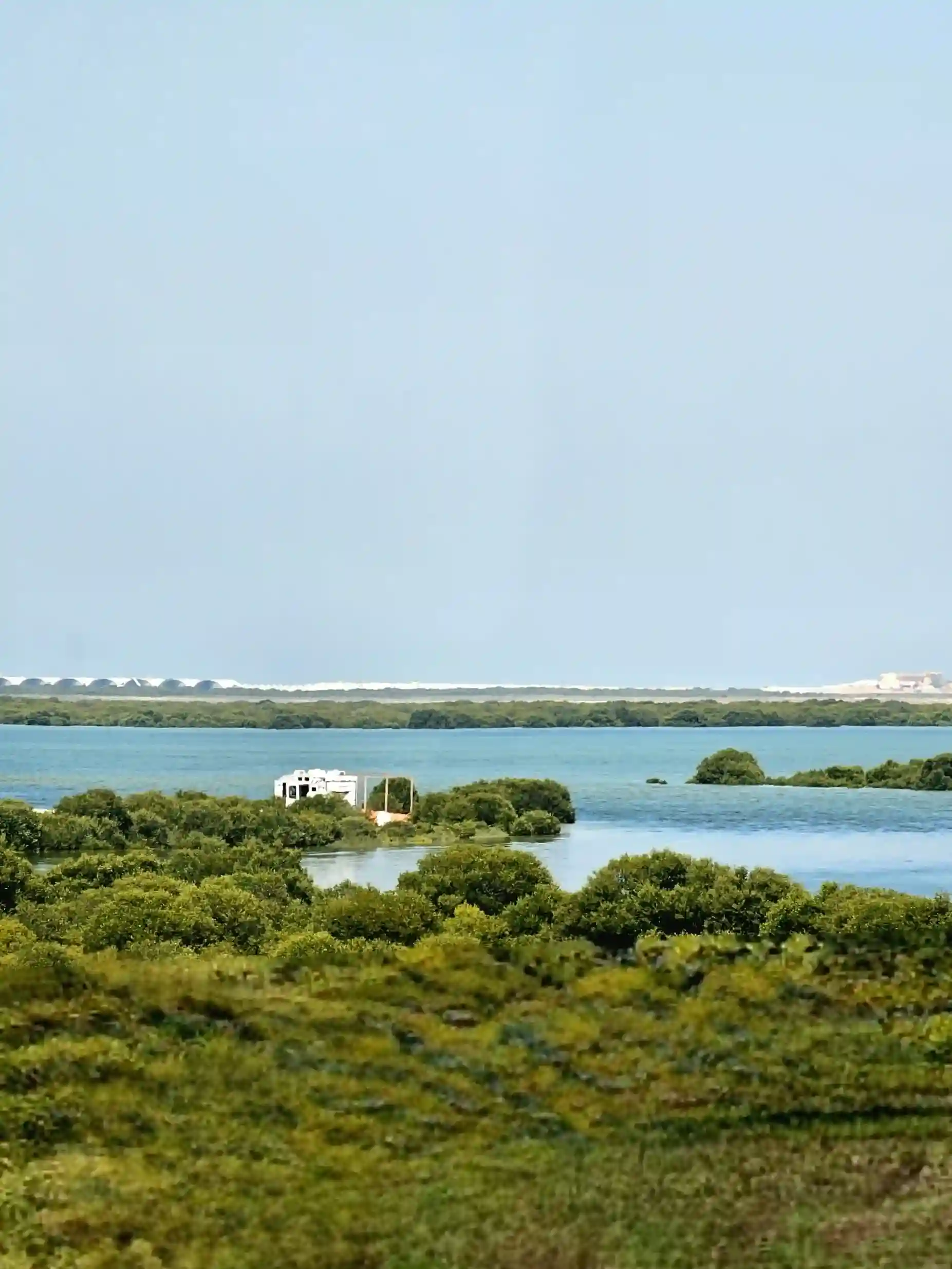 Umm Al Quwain mangroves, islands, and peaceful coastal scenery