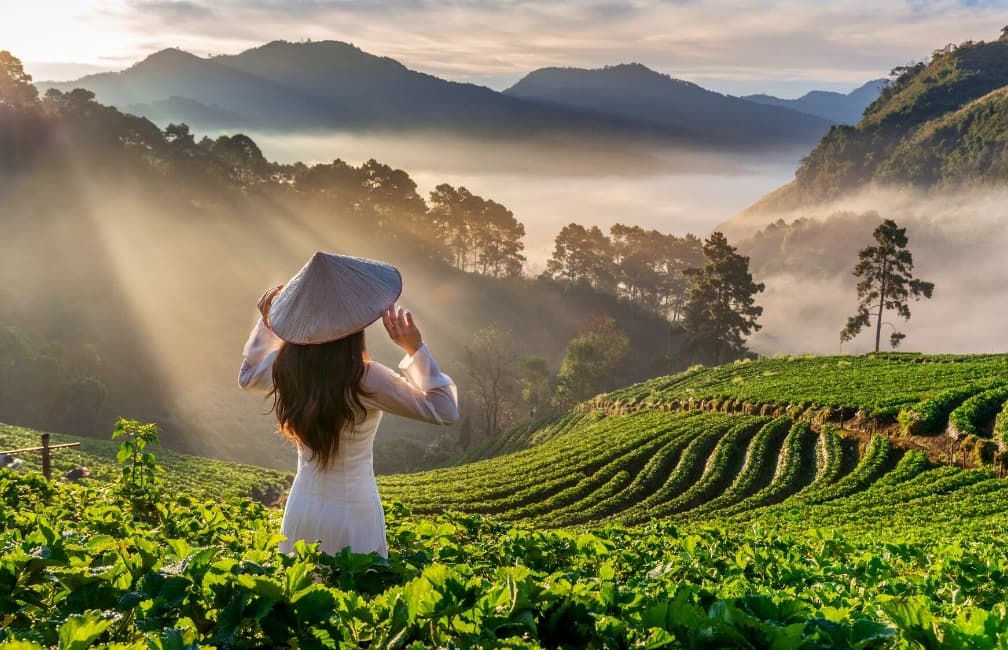 Vietnam travel experiences featuring Halong Bay, lantern streets, tropical islands, and scenic mountain landscapes