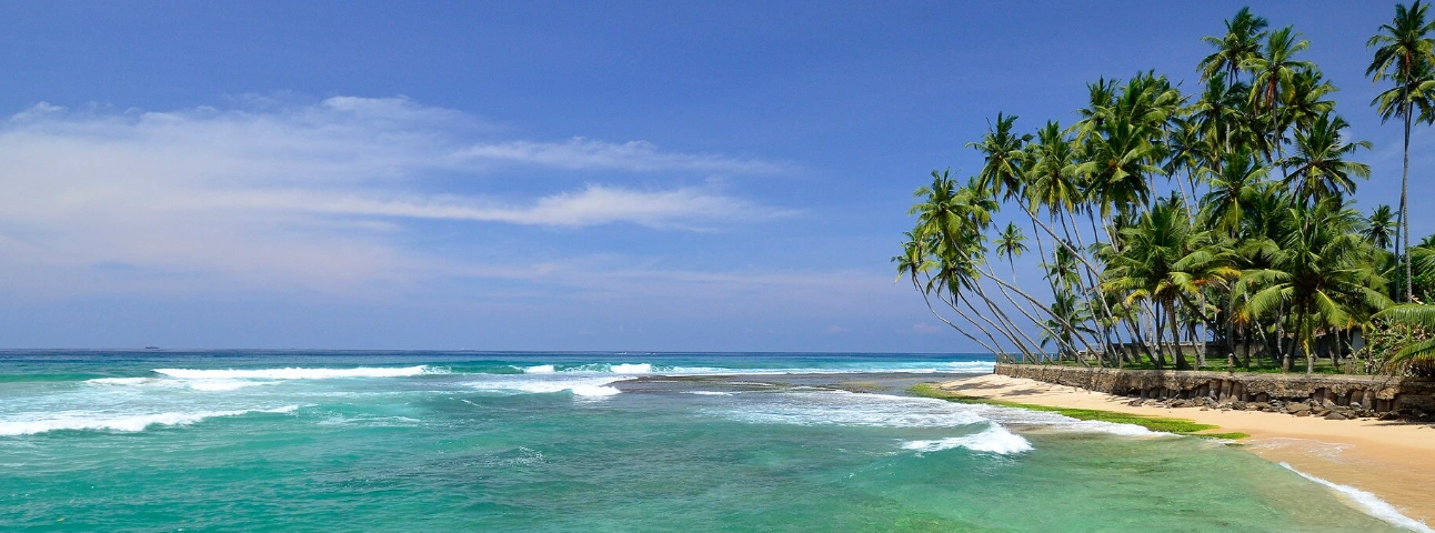 Tropical destination aerial view