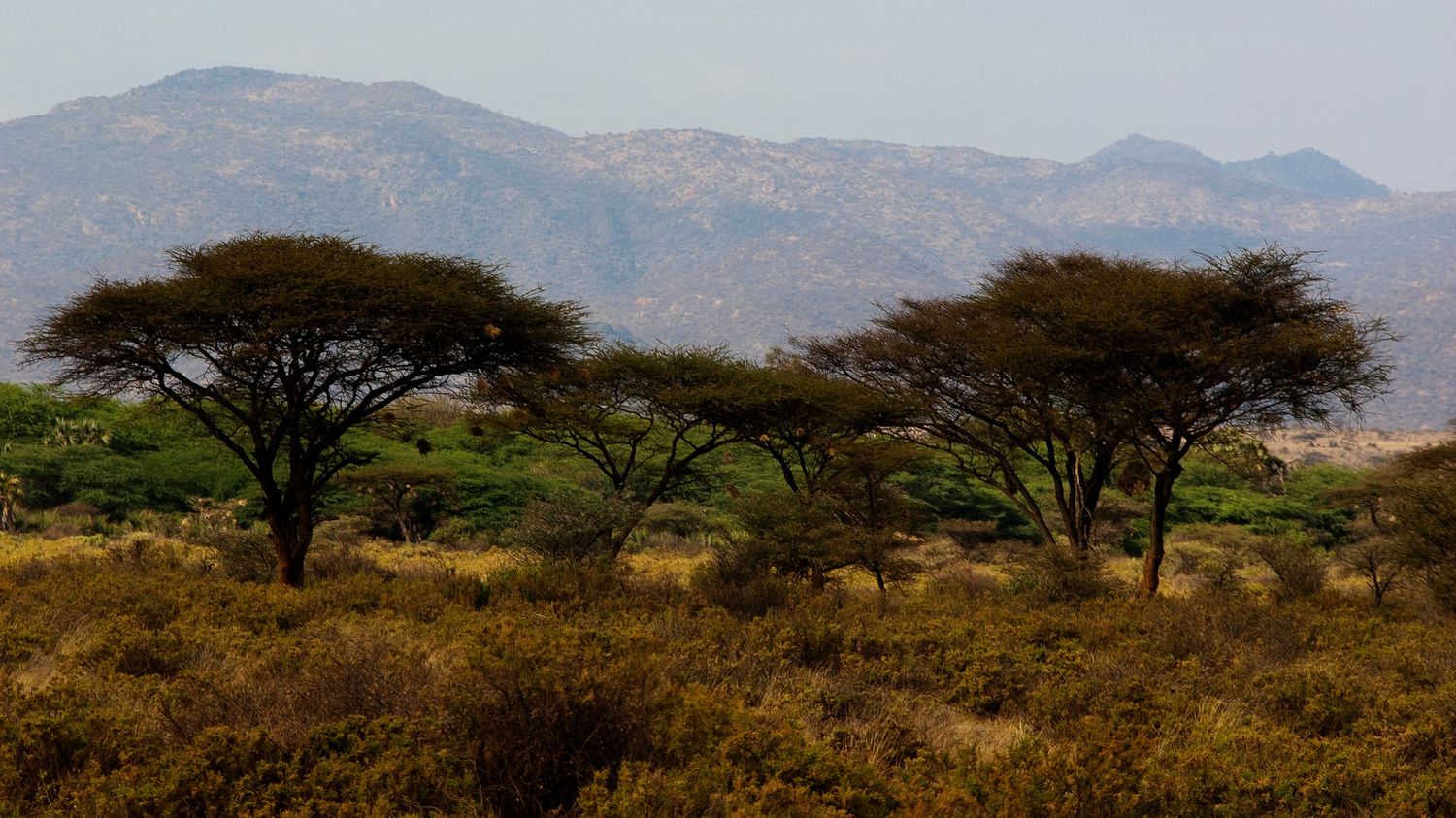 Discover Kenya's Untamed North