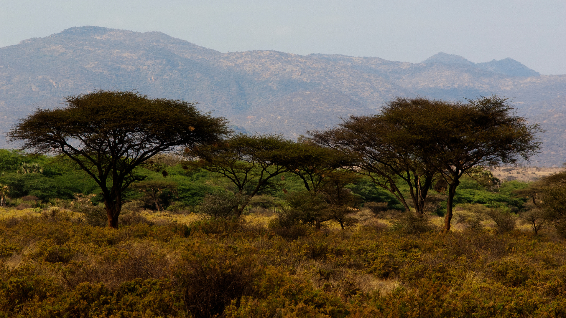 Discover Kenya's Untamed North