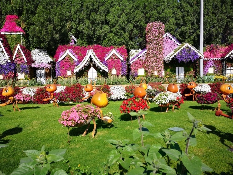 Image of Dubai Miracle Garden in UAE with flowers of different variety and color designed to be attractive to the tourists