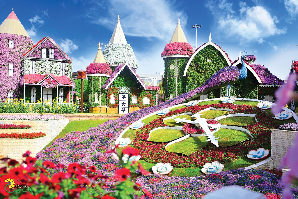 Beautiful view of flowers and art at Dubai miracle garden