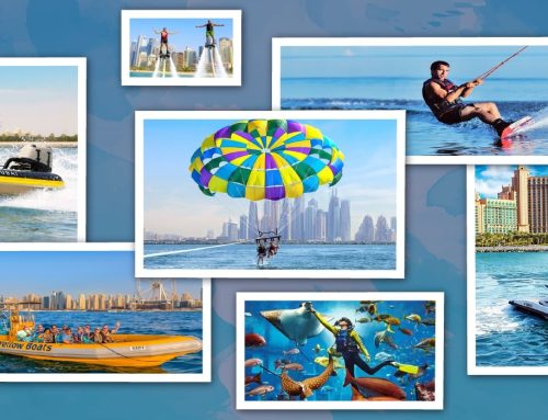 Best Aquatic Adventures in the UAE | Visitors Guide